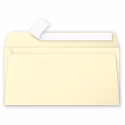 Clairefontaine 5455C, DL (110 x 220 mm), Jaune, Papier, 120 g/m², Forest Stewardship Council (FSC), 20 pièce(s)