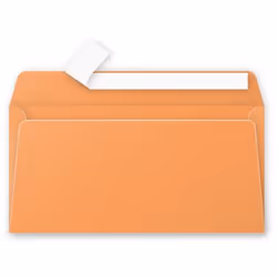 Clairefontaine 5495C, DL (110 x 220 mm), Orange, Papier, 120 g/m², Forest Stewardship Council (FSC), 20 pièce(s)