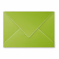 Clairefontaine 5542C, C5 (162 x 229 mm), Vert, C5 (162 x 229 mm), Papier, 120 g/m², Forest Stewardship Council (FSC)