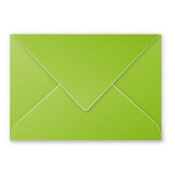 Clairefontaine 5542C enveloppe C5 (162 x 229 mm) Vert 20 pièce(s)