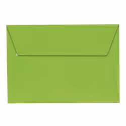 Clairefontaine 5546C, C6 (114 x 162 mm), Vert, C6 (114 x 162 mm), Papier, 120 g/m², Forest Stewardship Council (FSC)