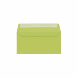 Enveloppe Clairefontaine DL (x20)