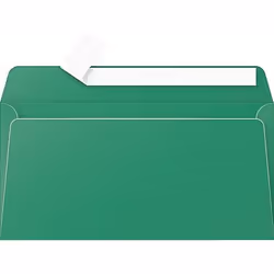 Clairefontaine 5595C, DL (110 x 220 mm), Vert, 120 g/m², Forest Stewardship Council (FSC), 110 mm, 220 mm