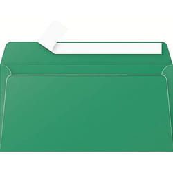 Clairefontaine 5595C enveloppe DL (110 x 220 mm) Vert 20 pièce(s)