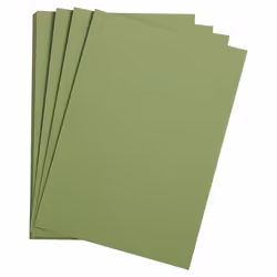 Clairefontaine 93859C, papier d'art, 160 g/m², 25 feuilles