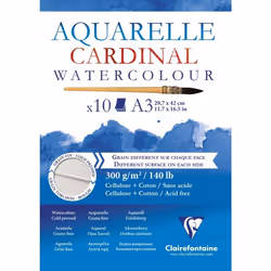 Clairefontaine 3329680961843, papier d'art, 300 g/m², 10 feuilles