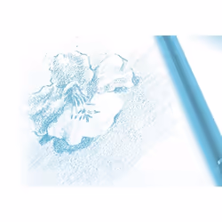 Clairefontaine 3329680961867 bloc-notes 12 feuilles Blanc