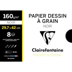 Clairefontaine 96770C papier d'art 12 feuilles