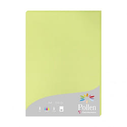 Clairefontaine Pollen papier jet d'encre A4 (210x297 mm) 25 feuilles Vert