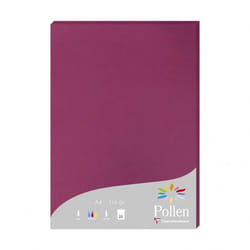 Clairefontaine Pollen papier jet d'encre A4 (210x297 mm) 25 feuilles Bourgogne