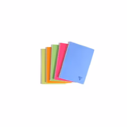 Cahier - CLAIREFONTAINE - Linicolor - A4 100 pages - Ligné simple - Couleur FRESH assortis
