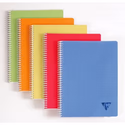 Cahier Linicolor - CLAIREFONTAINE - 24x32 - 180 pages - Grands carreaux - Seyès - Assortiment FRESH