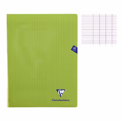 Cahier MIMESYS Piqué Polypro 24 x 32 cm 48 pages 90g Séyès Vert