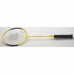 Raquette Yonex Burton BX 440