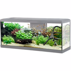 Dimensions Hauteur (en cm) 44 Longueur (en cm) 100,50 Profondeur (en cm) 32 Autres caractéristiques Composition Un aquarium d ...
