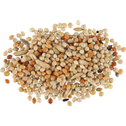 Graines pour perruches nutrimeal 800g Zolux