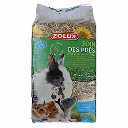 ZOLUX Hay, Foin, 1 kg, Hamster, Souris, Lapin, 250 mm, 450 mm, 85 mm