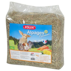 Foin pour Lapin et Rongeur - ZOLUX - Premium Aromatisé Carotte et Pissenlit - 1kg - Complément Nutritionnel