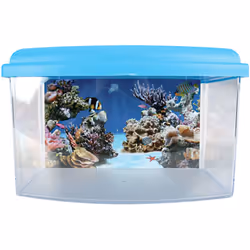 Aspect Coloris Coloris aléatoire Matériau principal Plastique Dimensions Hauteur (en cm) 16 Longueur (en cm) 22 Profondeur (e ...