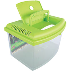 Zolux - Aqua travel box ii, Médium, taille 28 x 20 x h 17 cm, pour poisson couleur aléatoire
