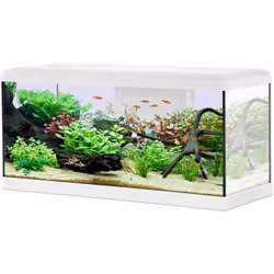 Dimensions Hauteur (en cm) 39 Longueur (en cm) 81 Profondeur (en cm) 32 Autres caractéristiques Composition Un aquarium d'un  ...