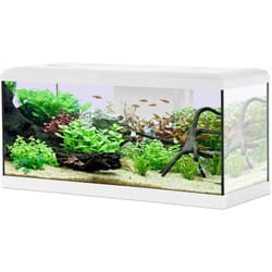 Kit aquarium Tana 84L