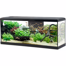 Dimensions Hauteur (en cm) 44 Longueur (en cm) 100,50 Profondeur (en cm) 32 Autres caractéristiques Composition Un aquarium d ...