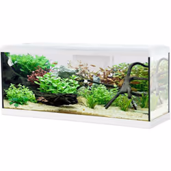 Dimensions Hauteur (en cm) 44 Longueur (en cm) 100,50 Profondeur (en cm) 32 Autres caractéristiques Composition Un aquarium d ...