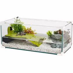 Aquarium tortue Karapas Aqua 60 Pro blanc - Zolux Blanc