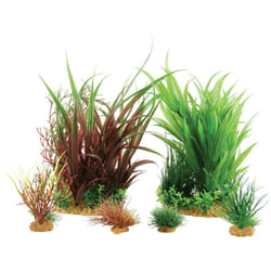 Zolux - Jalaya n°3 plantes artificielles 6 pieces h 22 cm Plantkit décoration d'aquarium