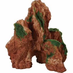 Déco idro kit Arizona. décor qui pousse. moyen model. dimension: longueur 17.5cm x largeur 14.6 cm x hauteur 20 cm. Décoratio ...