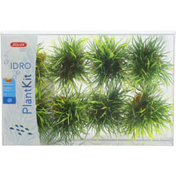 8 petits buissons déco plant kit idro hauteur 3 cm ø 3.5 cm pour aquarium Zolux