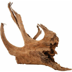 Zolux - Racine naturelle Mangrove 40/60 cm