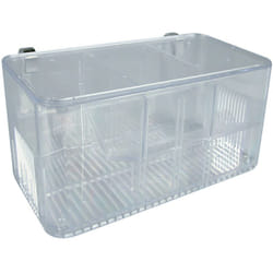Pondoir isoloir 5 combinaisons taille : 21 x 10 x 10 cm pour aquarium Zolux