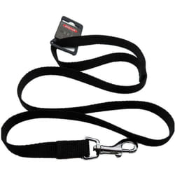 Zolux - Laisse nylon, 1 m x 15 mm, noir, pour chien