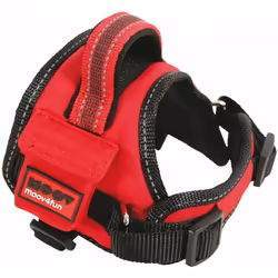 Le harnais Moov est idéal pour vos promenades/randonnées, avec un maximum de confort pour l'animal. Une prise en main rapide, ...