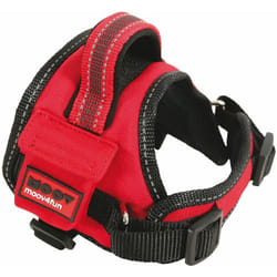 Zolux - Harnais confort Moov Rouge Taille : xs