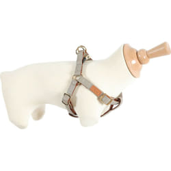 Zolux - Harnais imao mayfair 25 mm tour de poitrail de 70 à 100 cm taupe pour chien