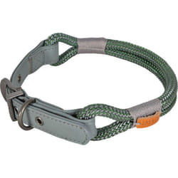 Zolux - Collier imao 60 cm x 11 mm Hyde park kaki pour chien