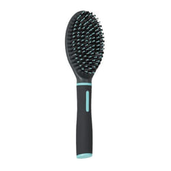 ZOLUX 470817 brosse et peigne pour animaux Noir, Bleu Chien