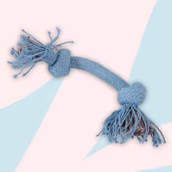 ZOLUX 480490, Chien, Corde, Bleu, Polyester, 2 cm, 250 mm