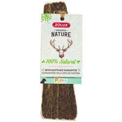 Zolux - Bâton à mâcher en Bois de Cerf xs biseauté Puppy, environ 15 cm, pour chiot.