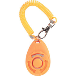 Zolux - Clicker de dressage avec dragonne pour chien.