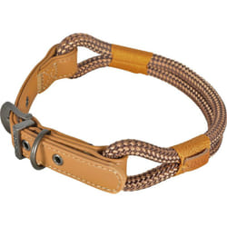 Zolux - Collier imao 40 cm x 6 mm Hyde park chocolat pour chien.