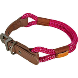 Collier imao 40 cm x 6 mm Hyde park fuchsia pour chien. Zolux