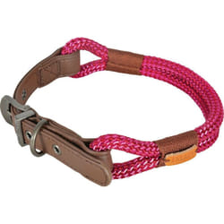 Zolux - Collier imao 50 cm x 9 mm Hyde park fuchsia pour chien