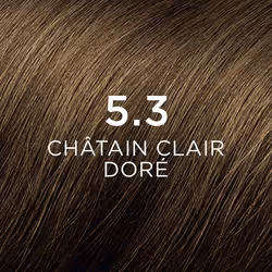 PHYTO PHYTOCOLOR 5,3 Châtain Clair Doré