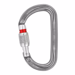 Petzl Am’D, Verrou tournant, Mousqueton à verrou, En forme de D, Aluminium, Gris, 27 kN