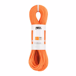 Petzl Paso Guide 7.7
