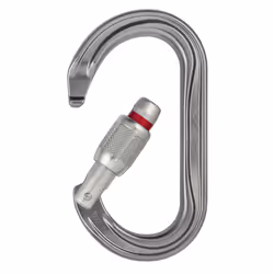 Petzl M33A SL mousqueton d'escalade Mousqueton à verrou En forme de D Aluminium Gris 1 pièce(s)